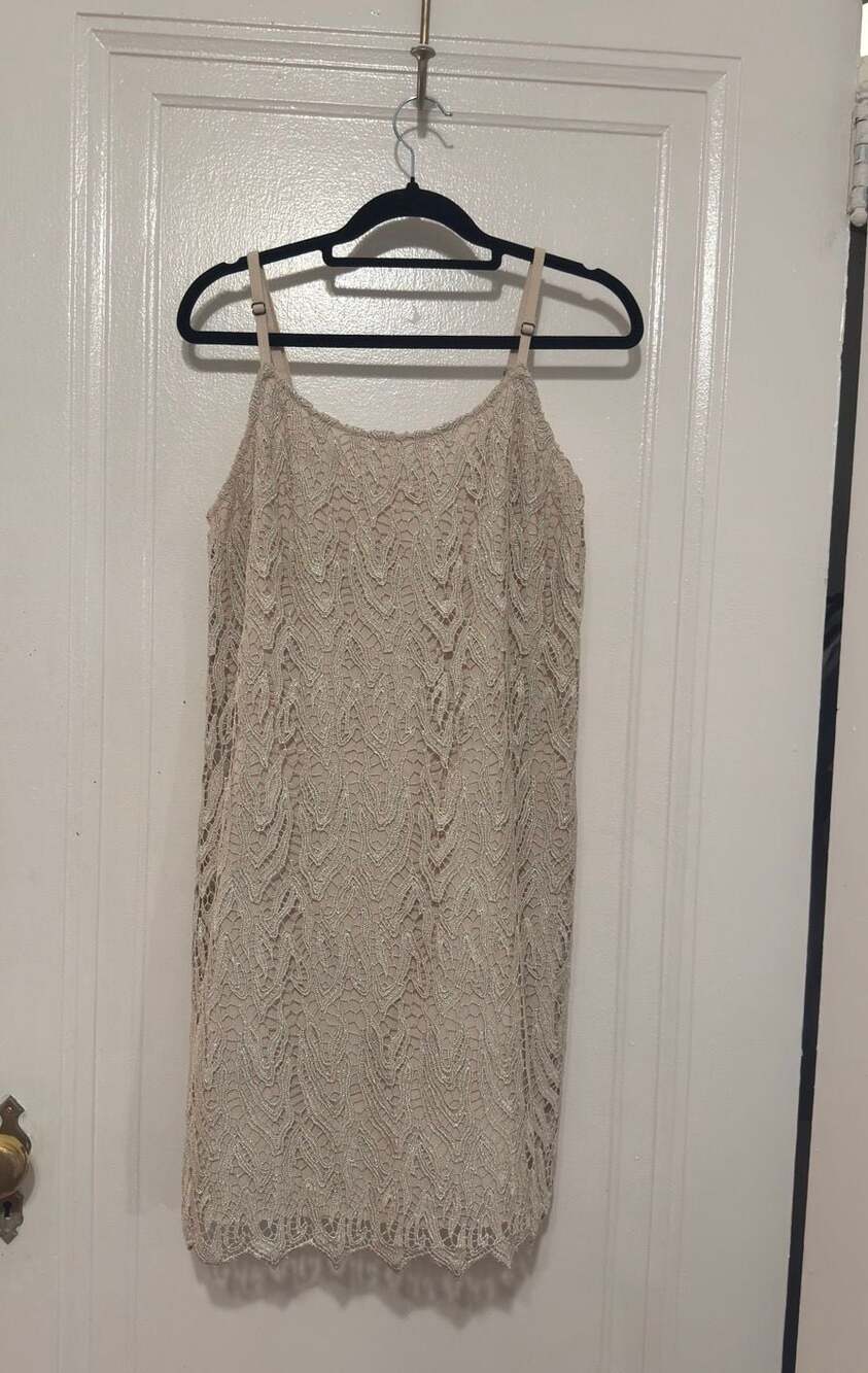 Alice + Olivia Metallic Silver Lace Overlay Sleeveless Mini Shift Dress